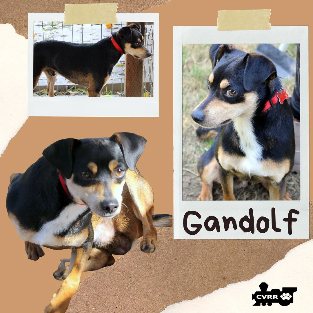 Ganfold - Photo 1