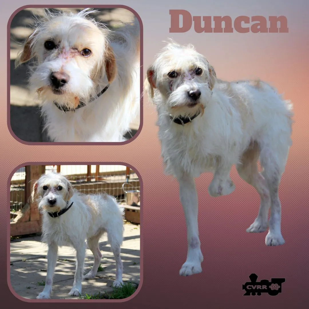 Duncan - Photo 1
