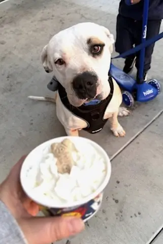 Theodore thumbnail 2