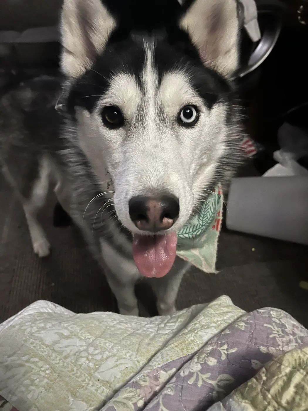 Henry James - Photo 2