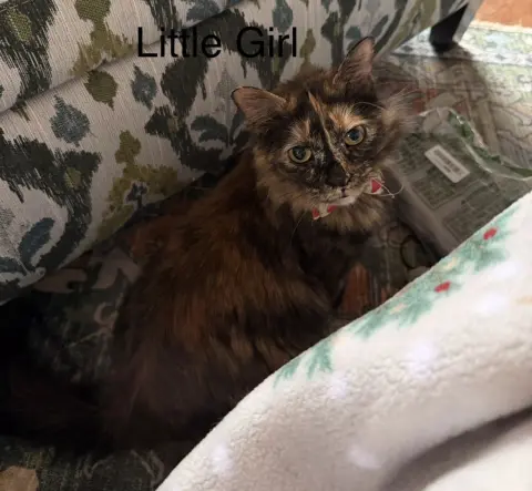 Little Girl thumbnail 2