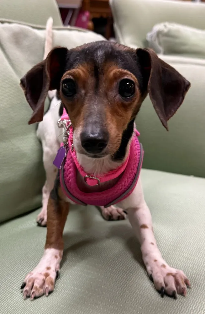 Queen Charlotte - Photo 1