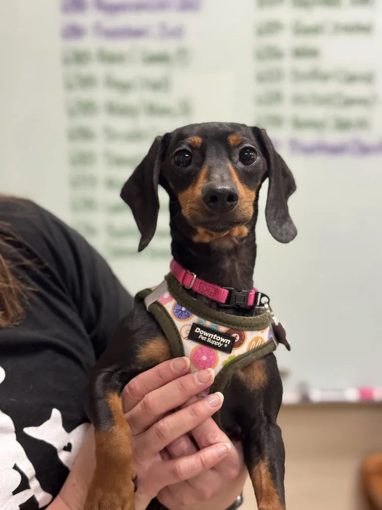 Kate Sharma - Photo 1