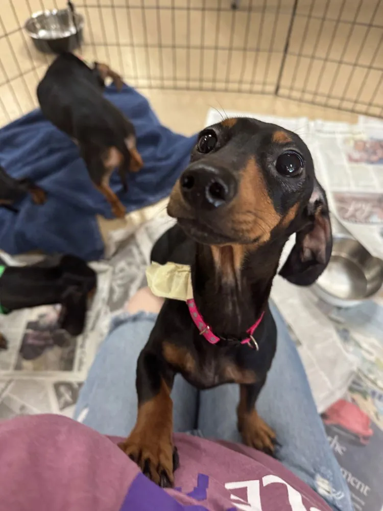 Kate Sharma - Photo 2