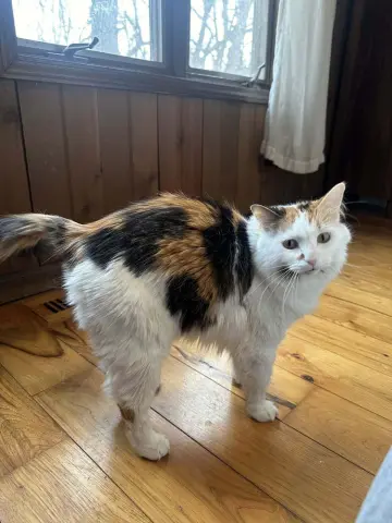 Genevieve thumbnail 2