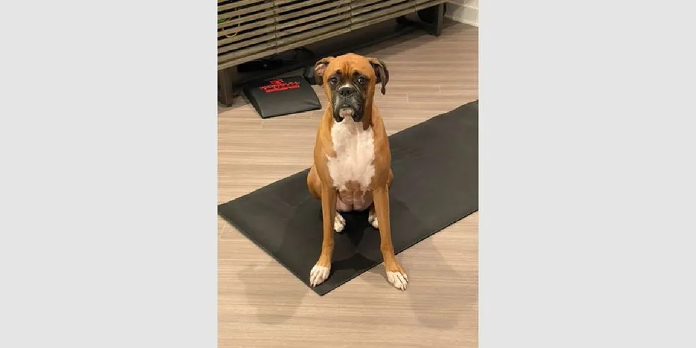 Dutchess II - Photo 1