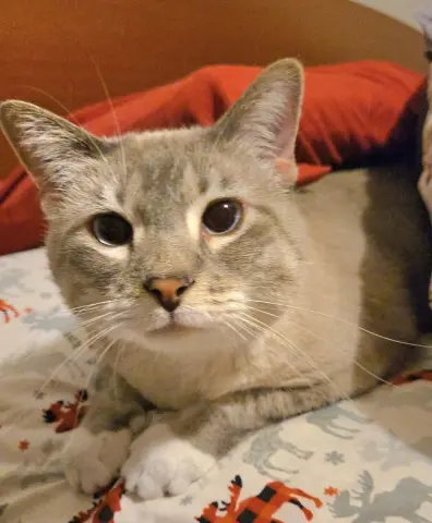 Mary Ann thumbnail 2