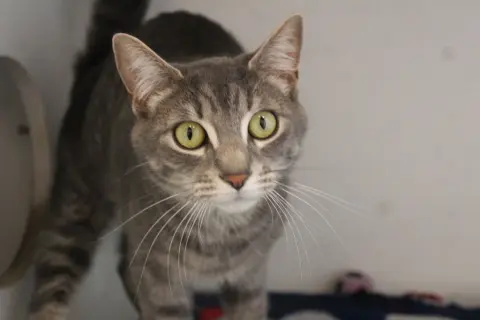 Ruby Sue thumbnail 2