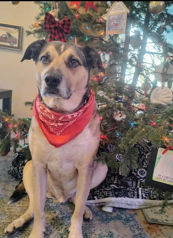 Buddy Ralph - Photo 1