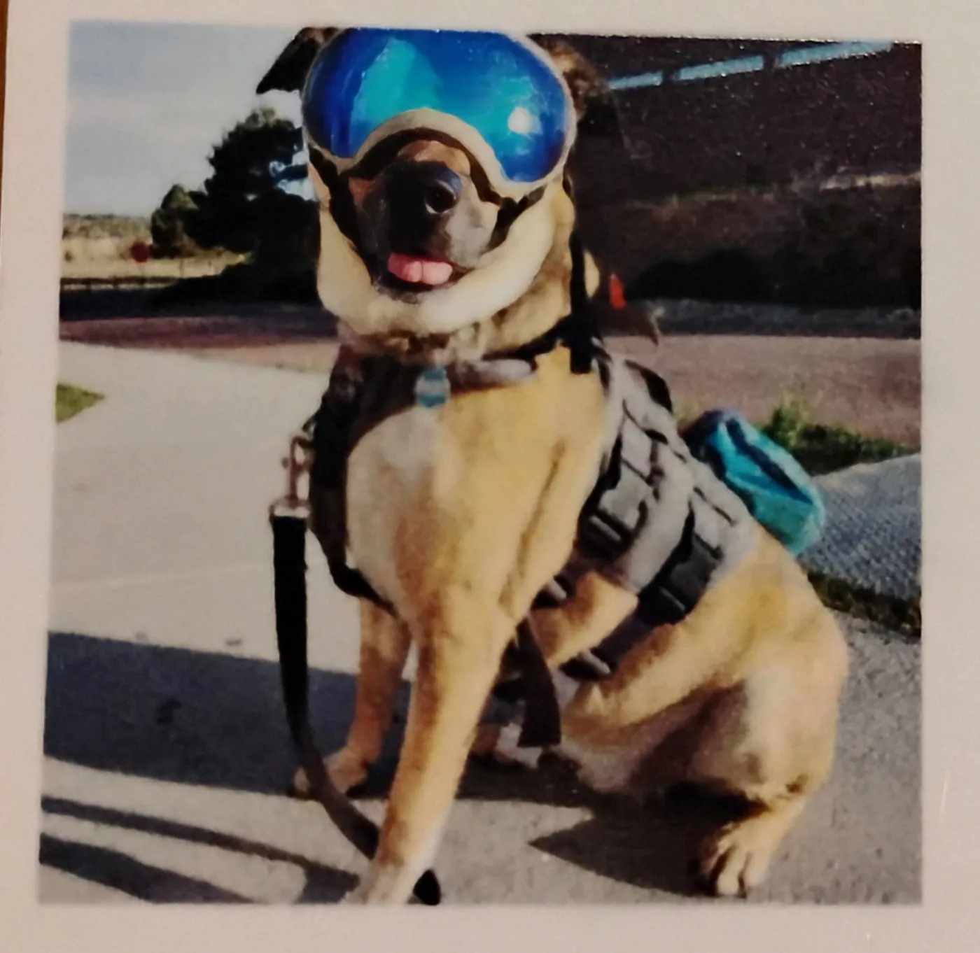 Buddy Ralph - Photo 2