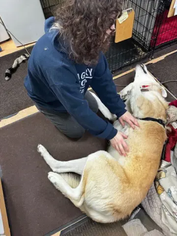 Davidson thumbnail 2