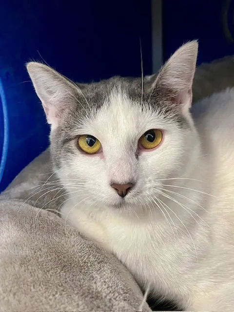 Jennifer Lopez - Photo 1