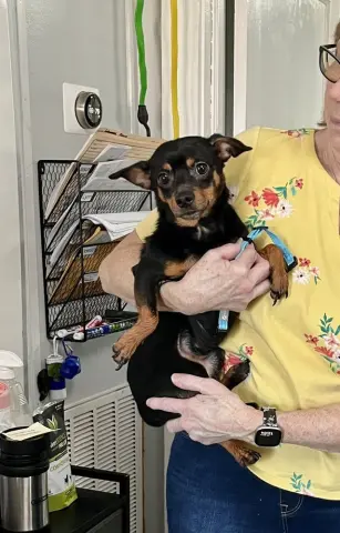 Midnight thumbnail 2