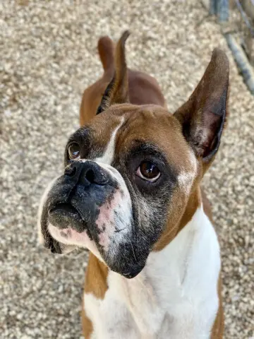 Waterloo thumbnail 2