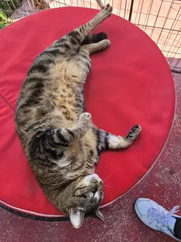 Neighbor thumbnail 2