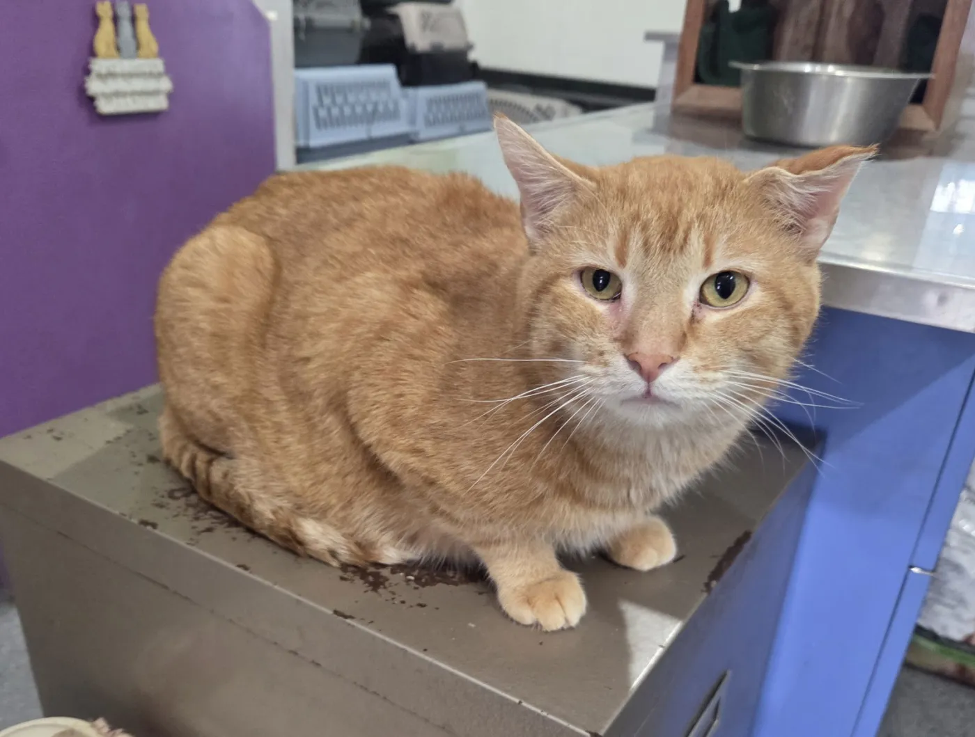 Uncle John - Photo 1