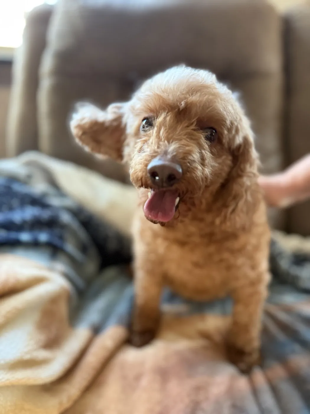 Sweetie and Sheila - Photo 2