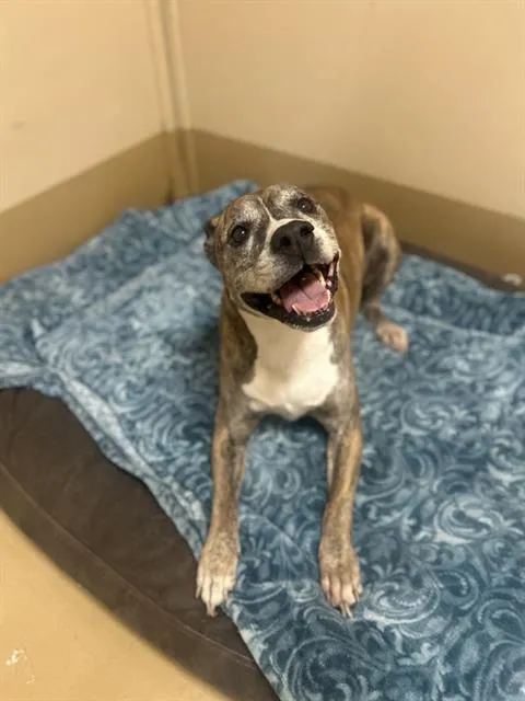 Perris Lake - Photo 1