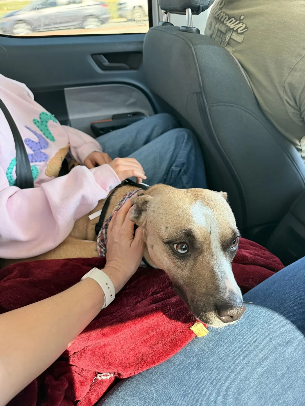 Angel Baby - Photo 1