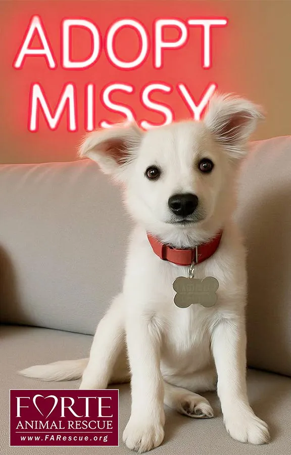 Missy - Photo 1