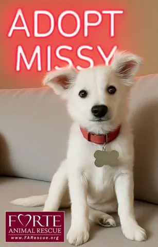 Missy