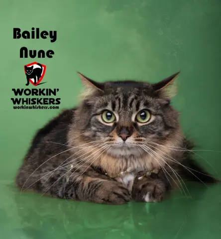 Bailey Nune