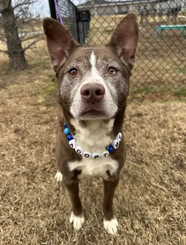 Tarrence thumbnail 2