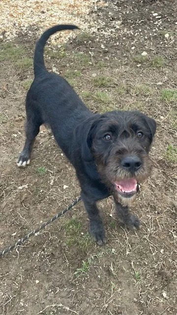 Sir Parker - Photo 2