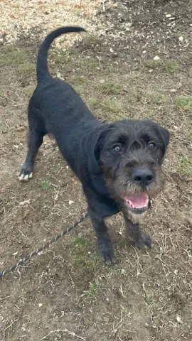 Sir Parker thumbnail 2