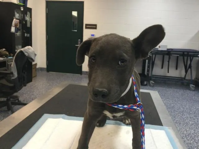 Sporty Spice - Photo 1