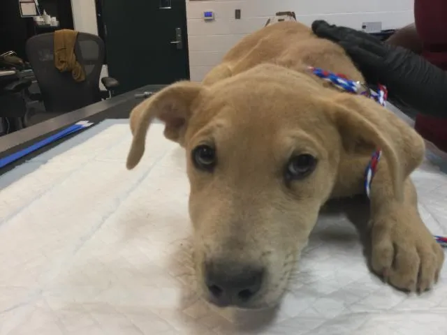 Scary Spice - Photo 1