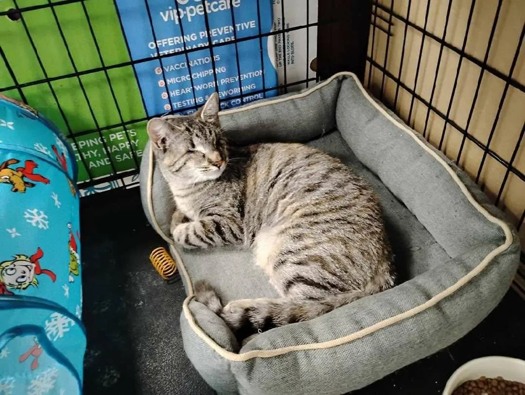 Warm Sugar - Photo 2