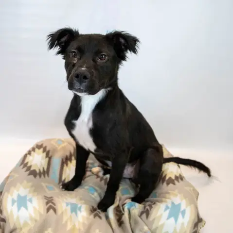 Holly Hobby thumbnail 2