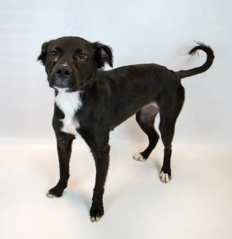 Holly Hobby thumbnail 3