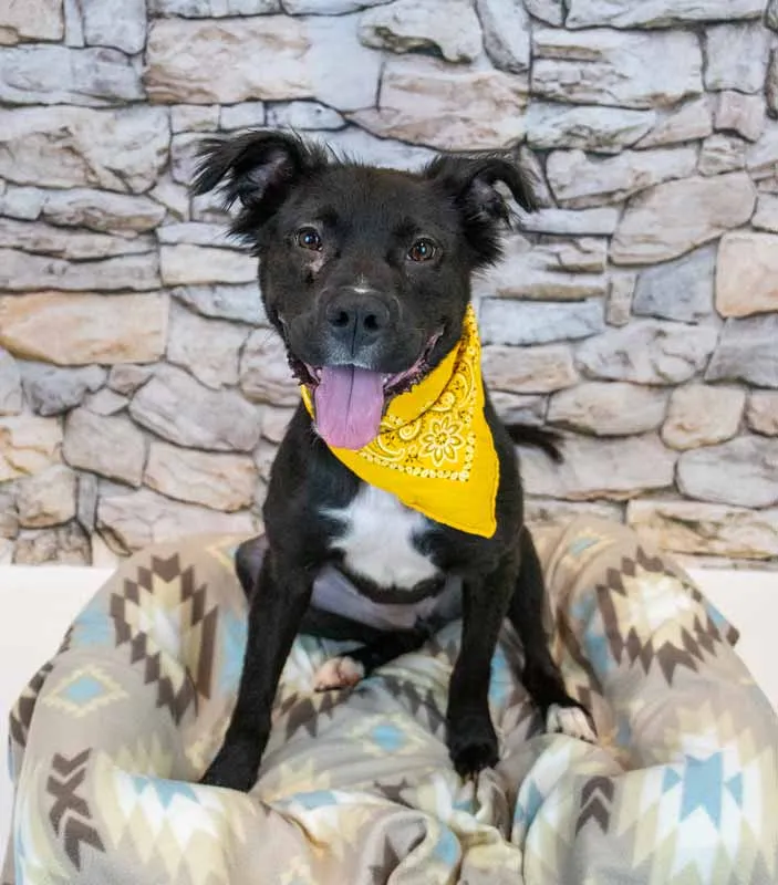 Holly Hobby - Photo 5