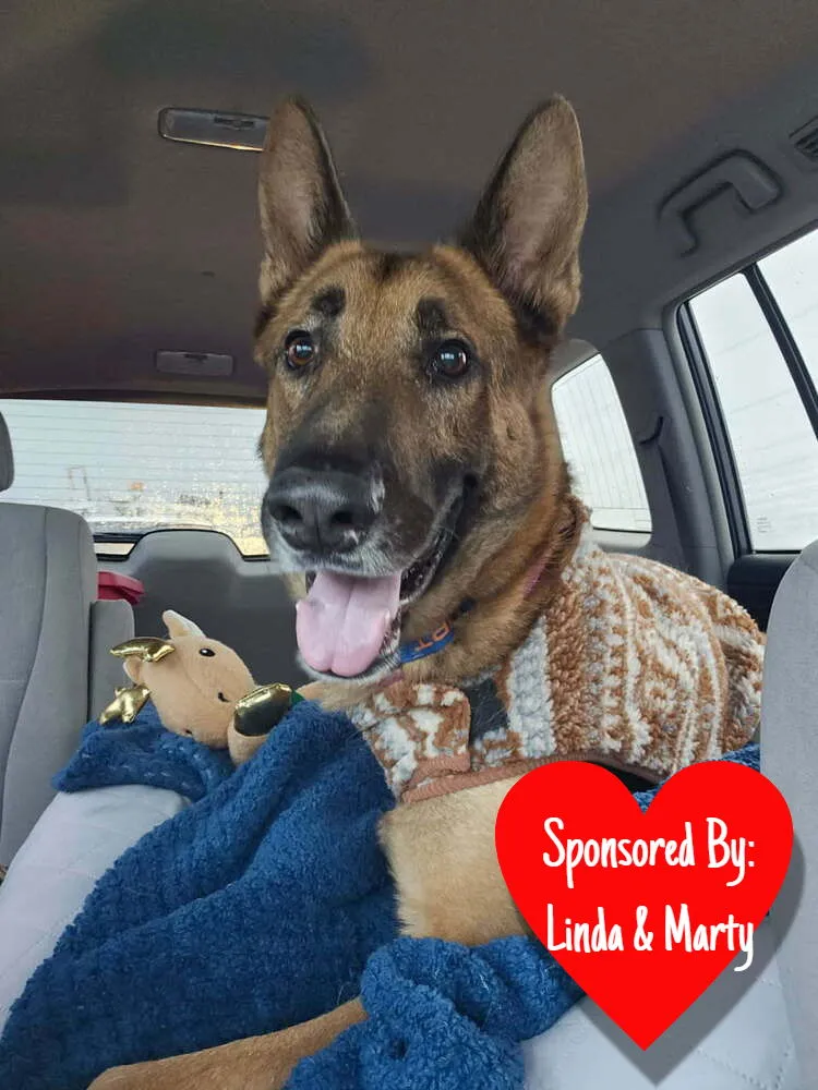 Doc Holiday - Photo 1