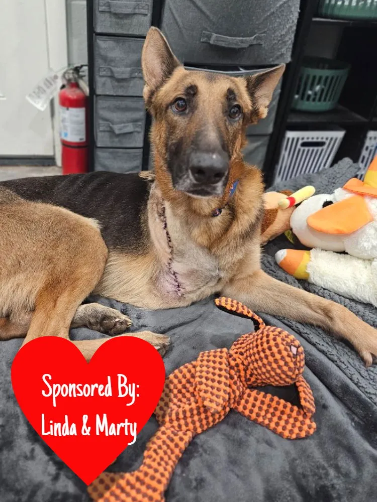 Doc Holiday - Photo 2