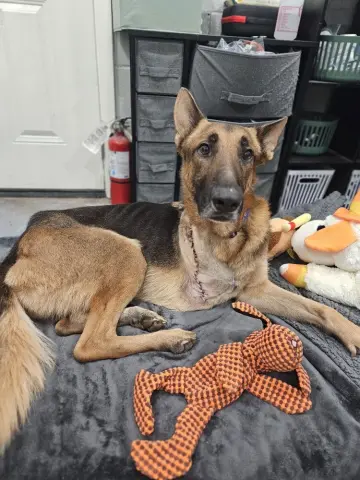 Doc Holiday thumbnail 3