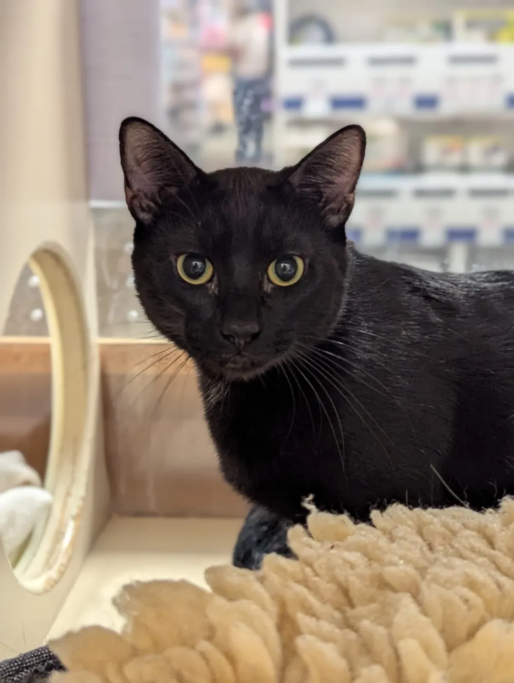 Frasier & Daphne - Photo 1