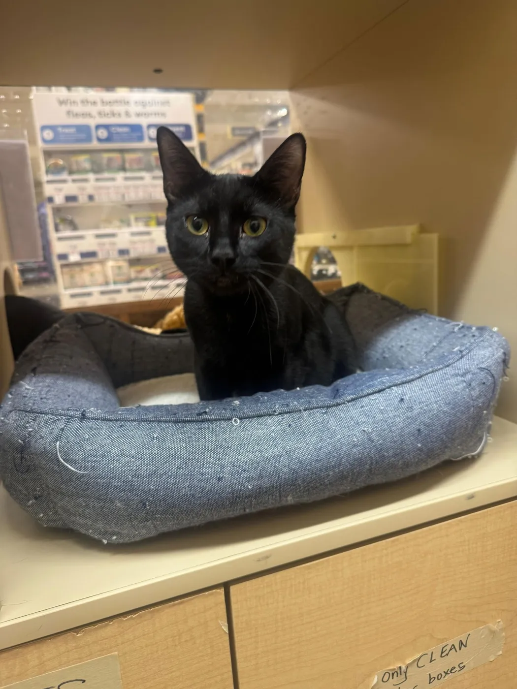 Frasier & Daphne - Photo 2