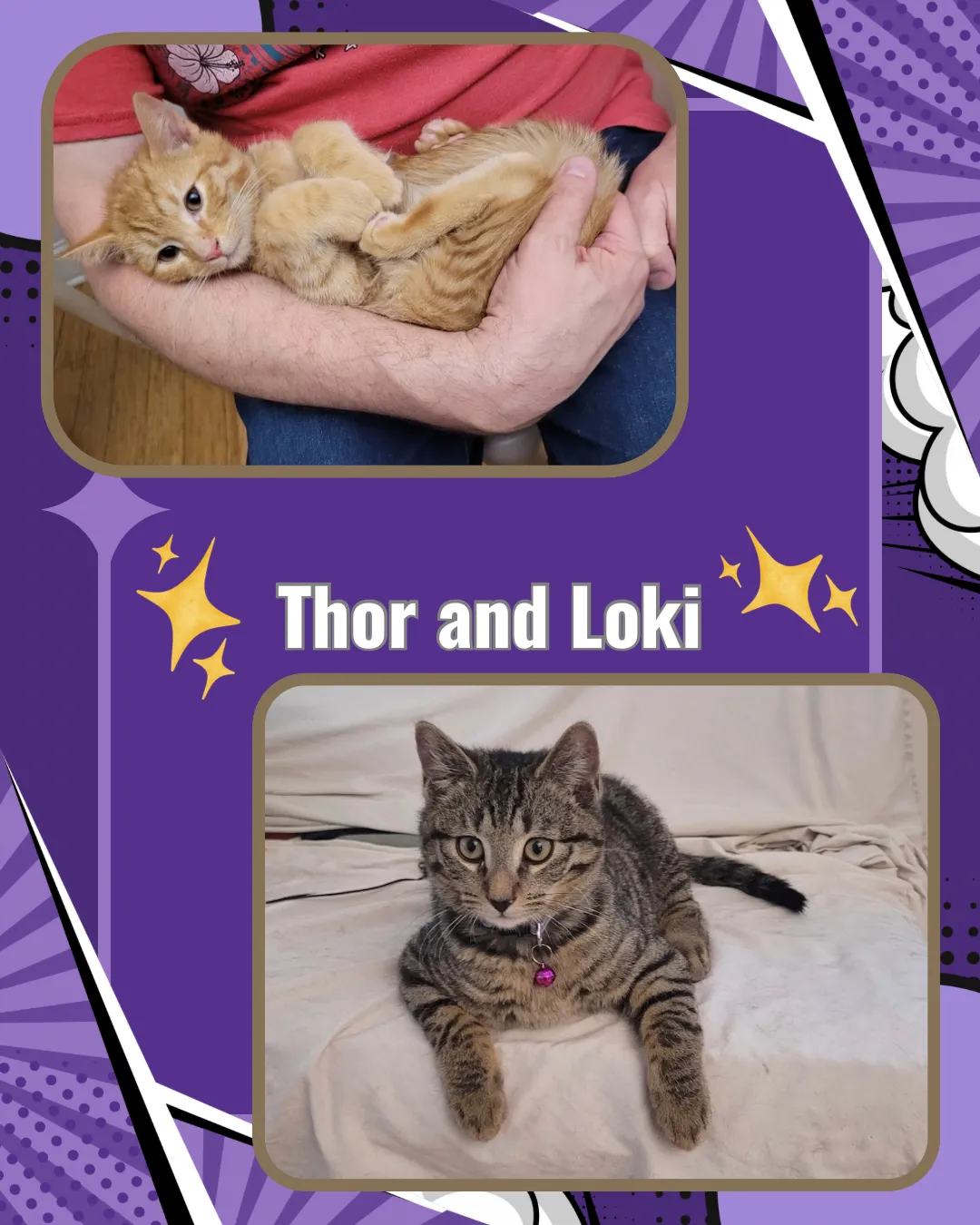 Thor and Loki - Photo 1