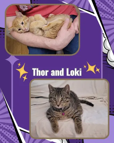 Thor and Loki