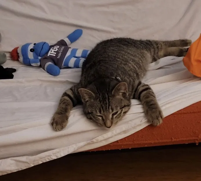 Thor and Loki - Photo 2