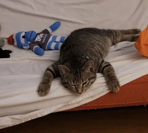 Thor and Loki thumbnail 2