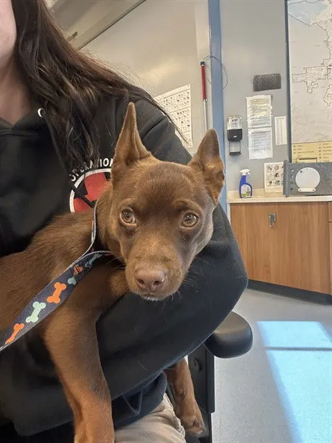 Jelly Belly - Photo 1