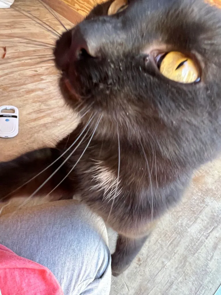 Darby Rose - Photo 2