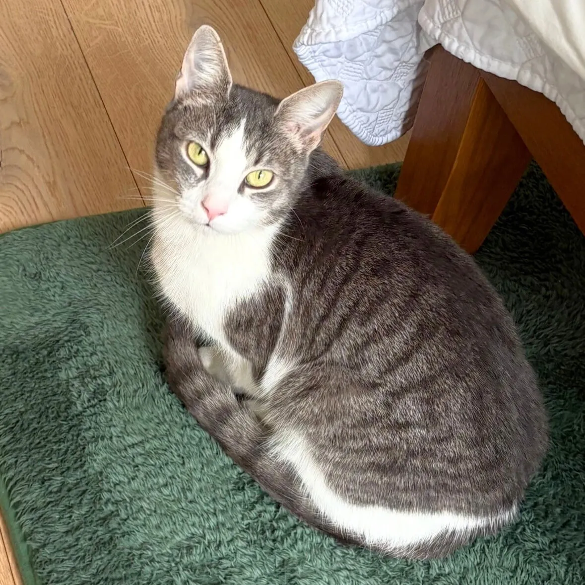 Interloper - Photo 1