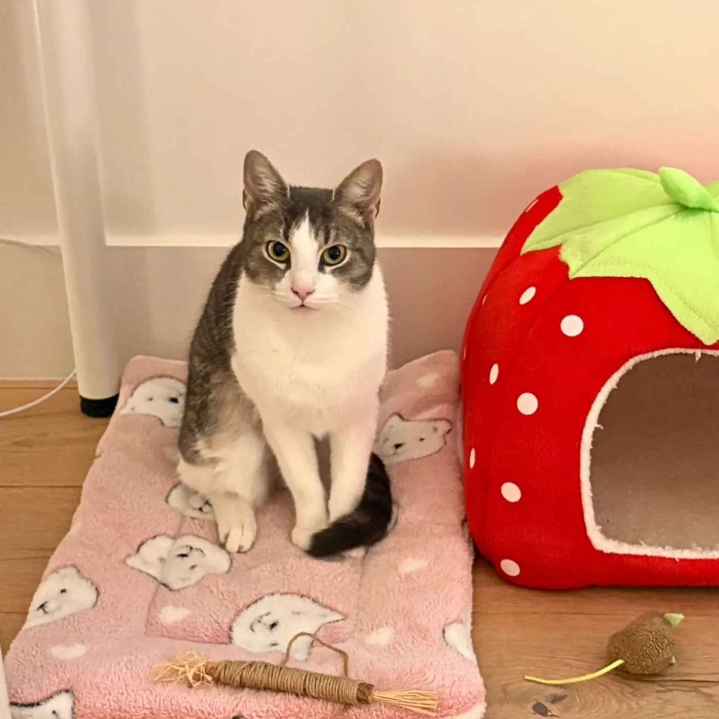 Interloper - Photo 2