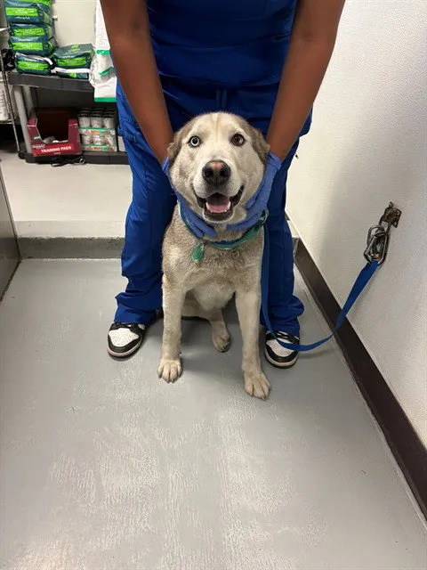 No Name Provided - Photo 1