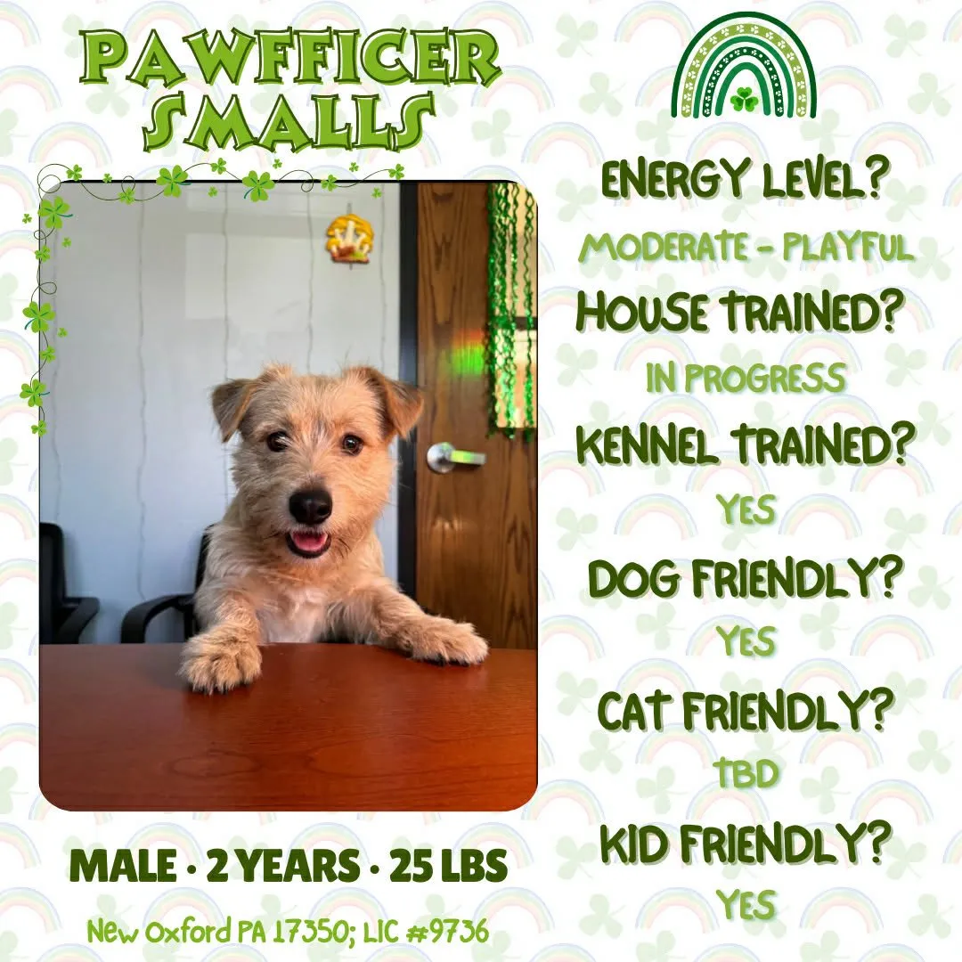 Pawfficer Smalls - Photo 1